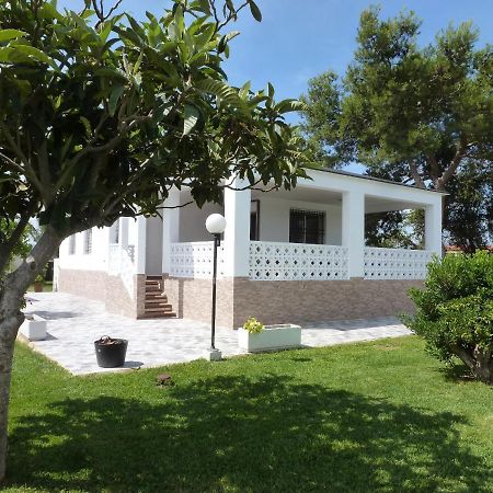 Chalet Verde Tabernes de Valldigna Exterior foto
